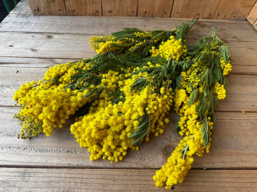 38様 リクエスト 5点 まとめ商品