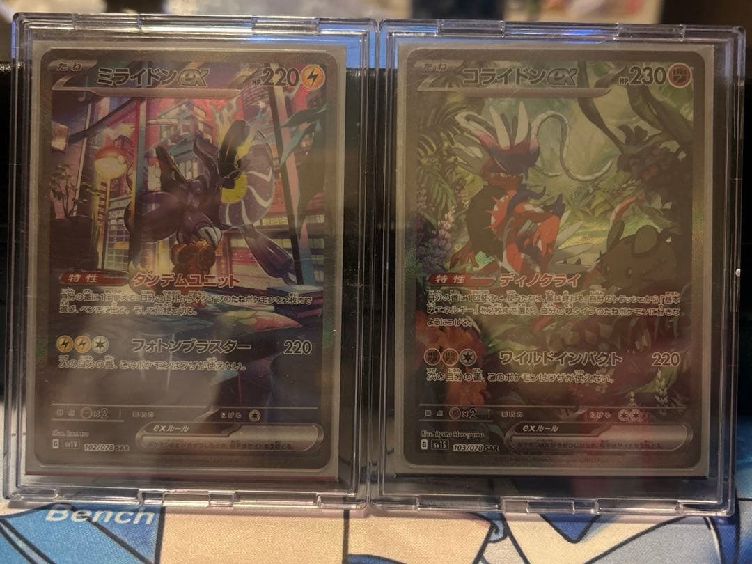 ミライドン　コライドン　sar