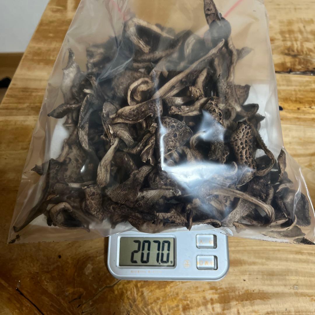 香茸　乾燥品　600g以上