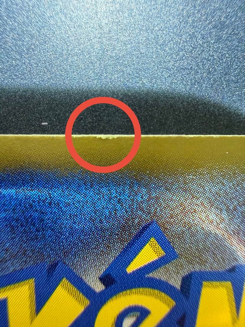 N*S様 ポケモンカード　フウロ SR BW7 プラズマゲイル 076/070