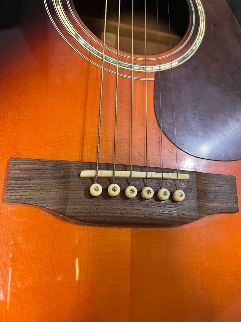 D*i様 Aria Dreadnought EST 1956 AF-65BS u