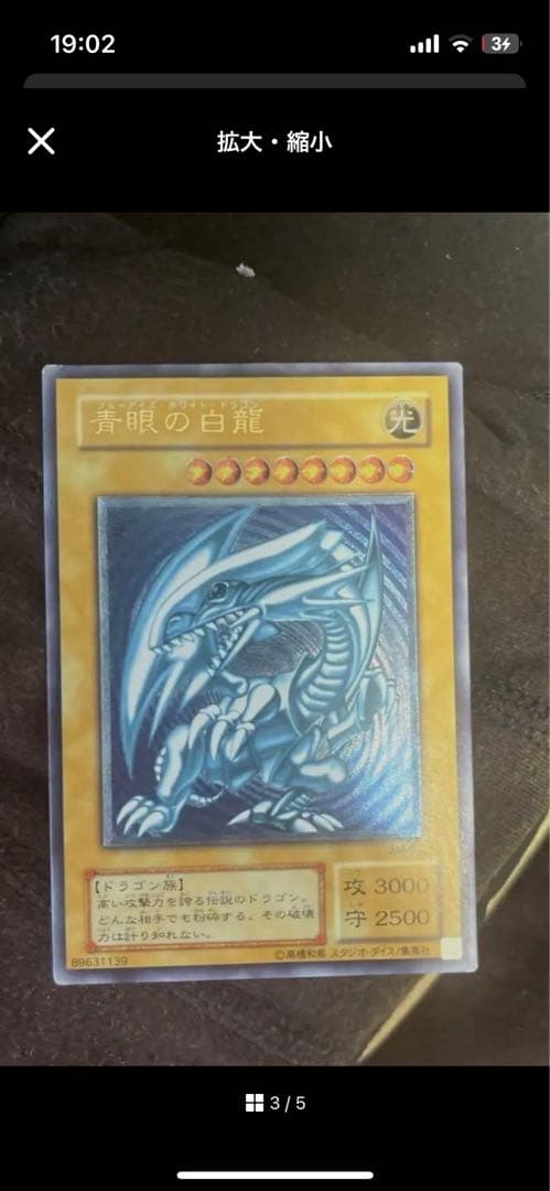 青眼の白龍 レリーフ　シーゴラス