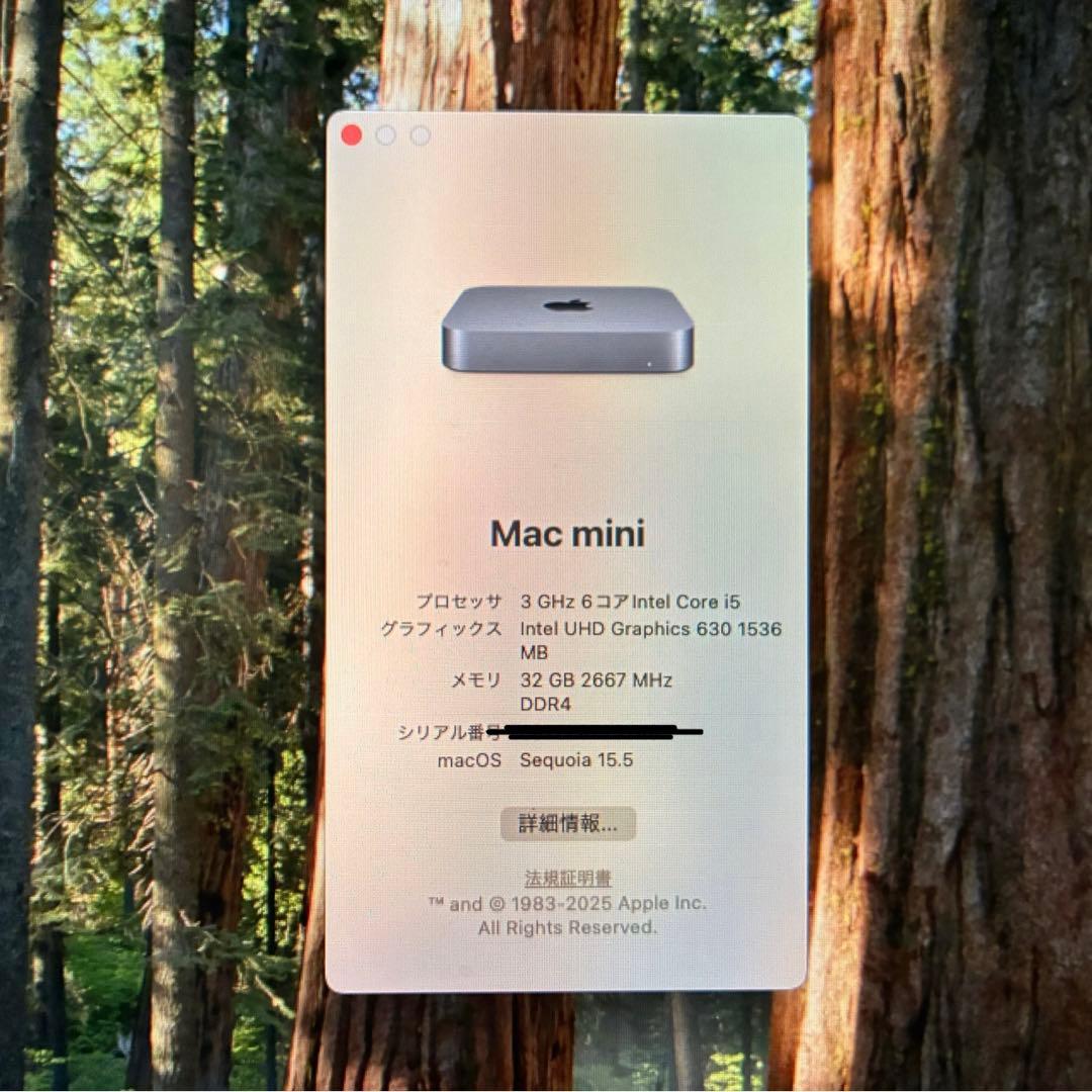 Mac mini 2018 1TB メモリ32GB 6コア Core i5