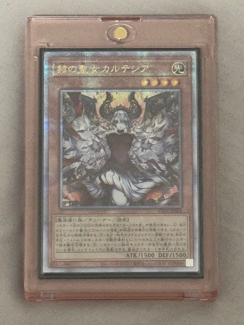 赫の聖女 カルテシア 25th