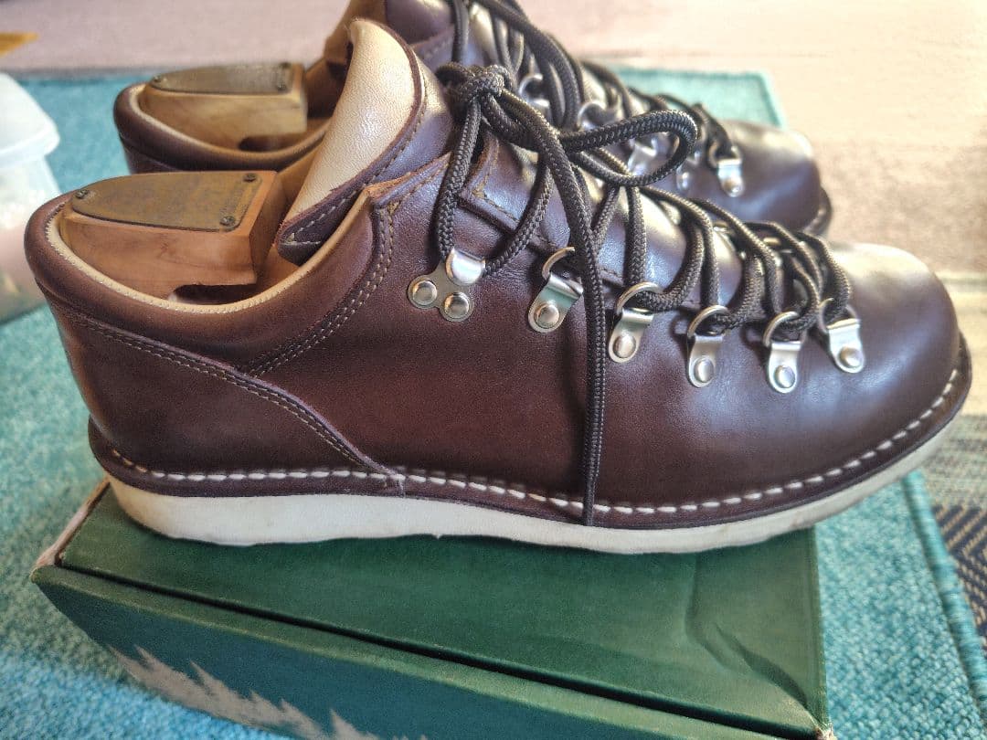 DANNER ダナー D-910100ティガード マウンテンライトダークブラウン