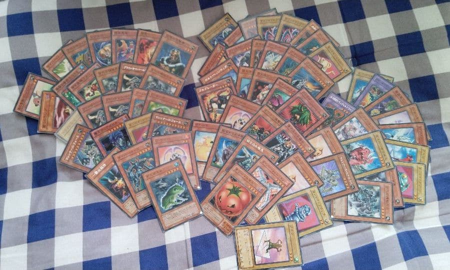 遊戯王カード、ファイルケース付き