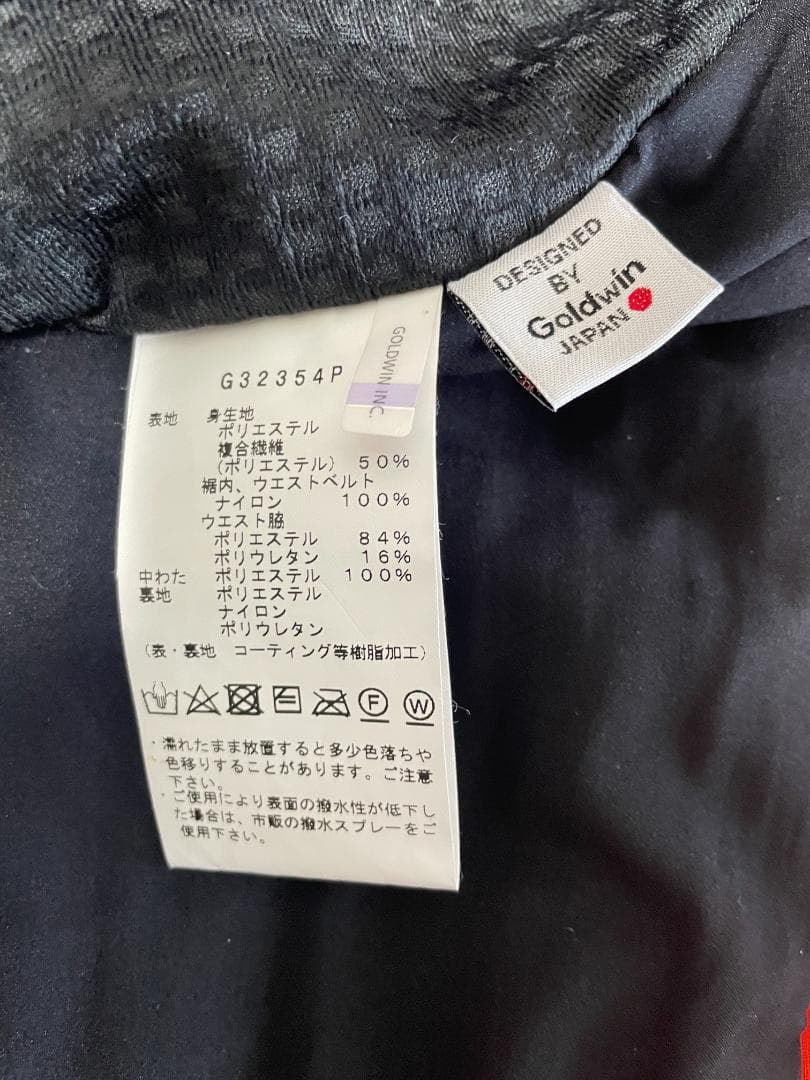 GOLDWIN ソリッドカラーレギュラーパンツ【L】G32354P スキー