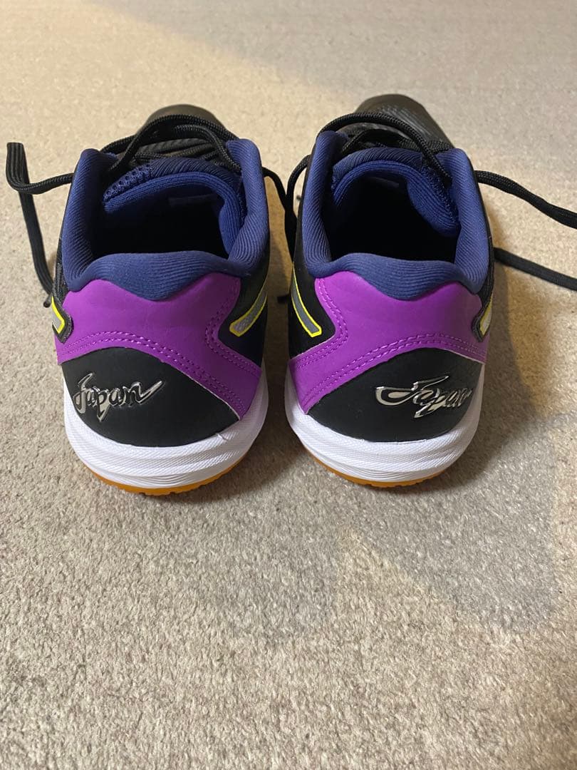 asics ローテ ジャパン ライト FF 3 アルペン限定 25cm