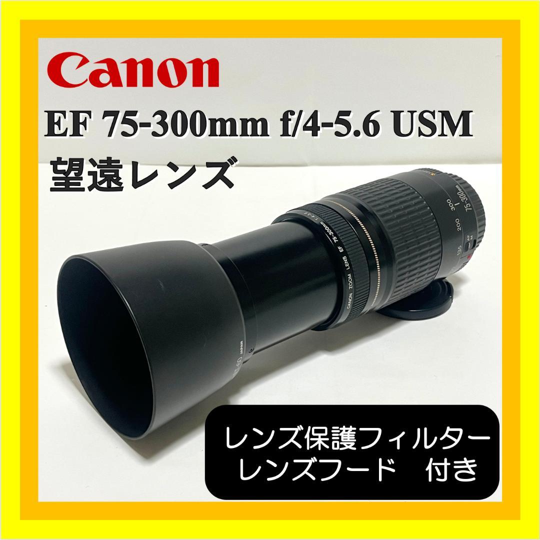 美品✨ Canon EF 75-300mm f/4-5.6 USM 望遠レンズ