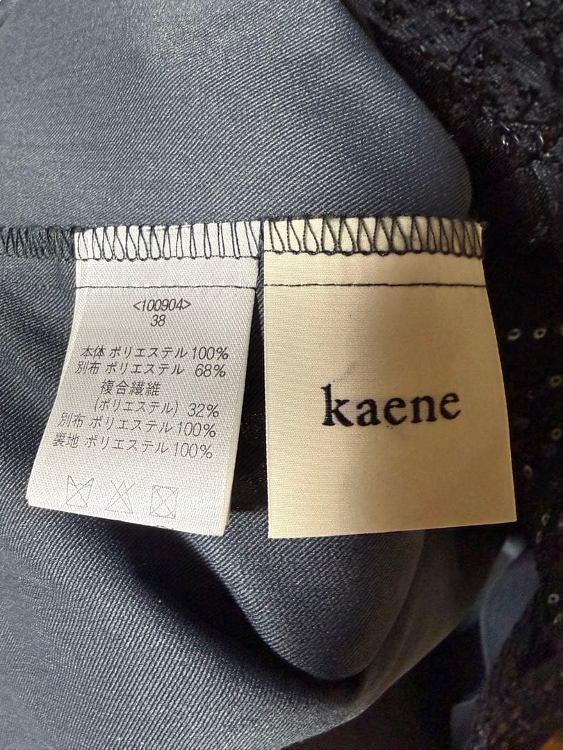 kaene スパンコールエンブロイダリードレス