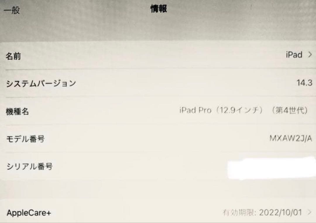 「週末限定」iPad Pro 12.9 第4世代 Wi-Fi 512GB