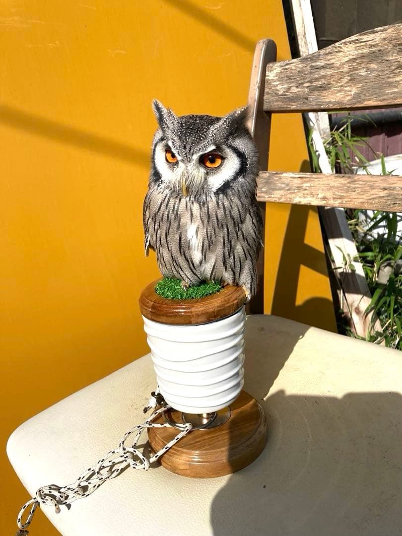 極　小型猛禽パーチ，ファルコンブロックＣ