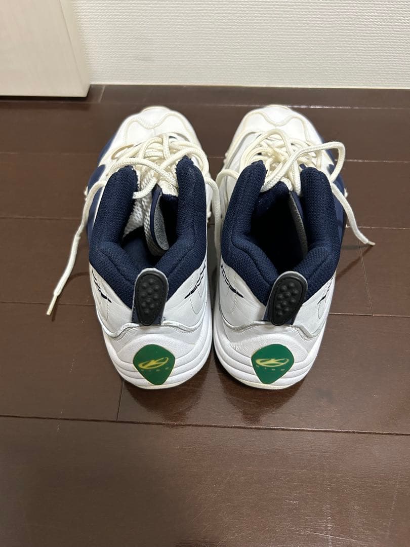 NIKE エアズームフライト5 26㎝