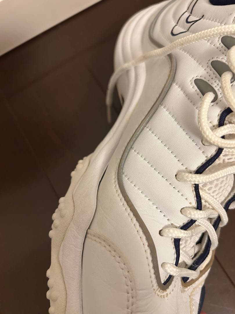 NIKE エアズームフライト5 26㎝