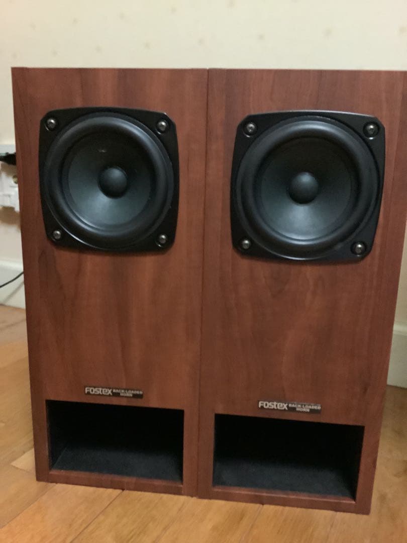 Fostex P1000-BH E1000-BH スピーカー