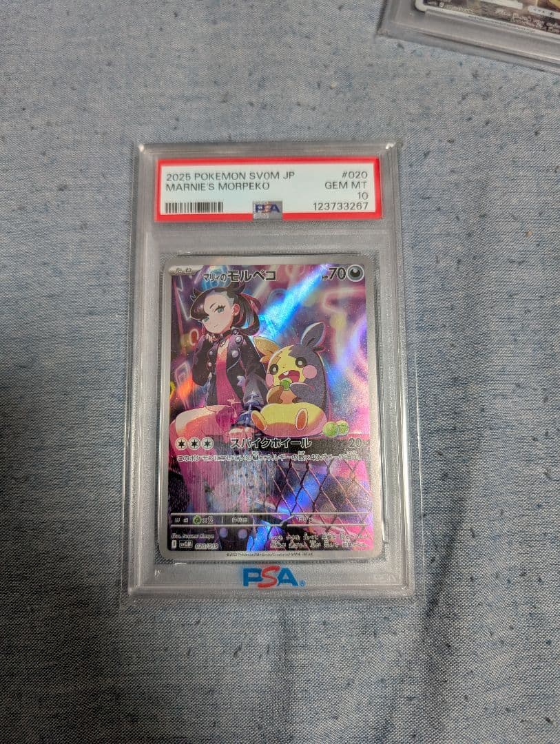 【PSA10】マリィのモルペコ AR 020/019 ポケモンカード ポケカ
