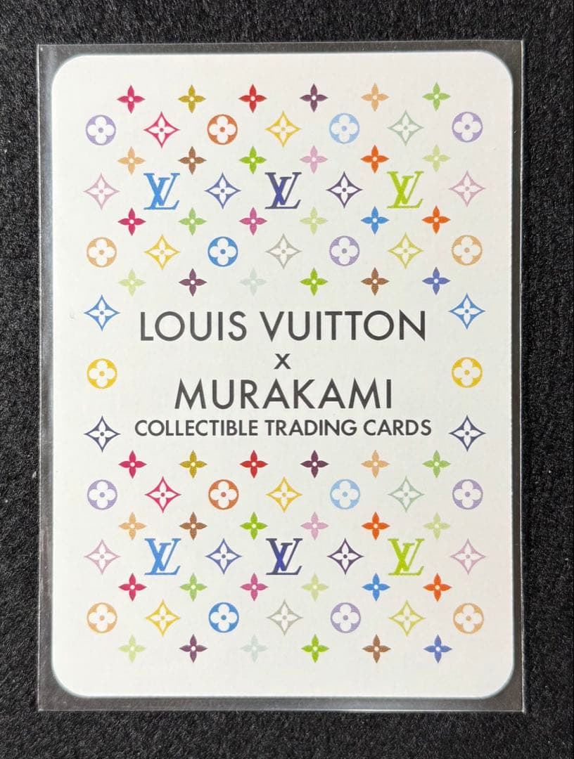 LOUIS VUITTON　ルイヴィトン GASTON 008/C