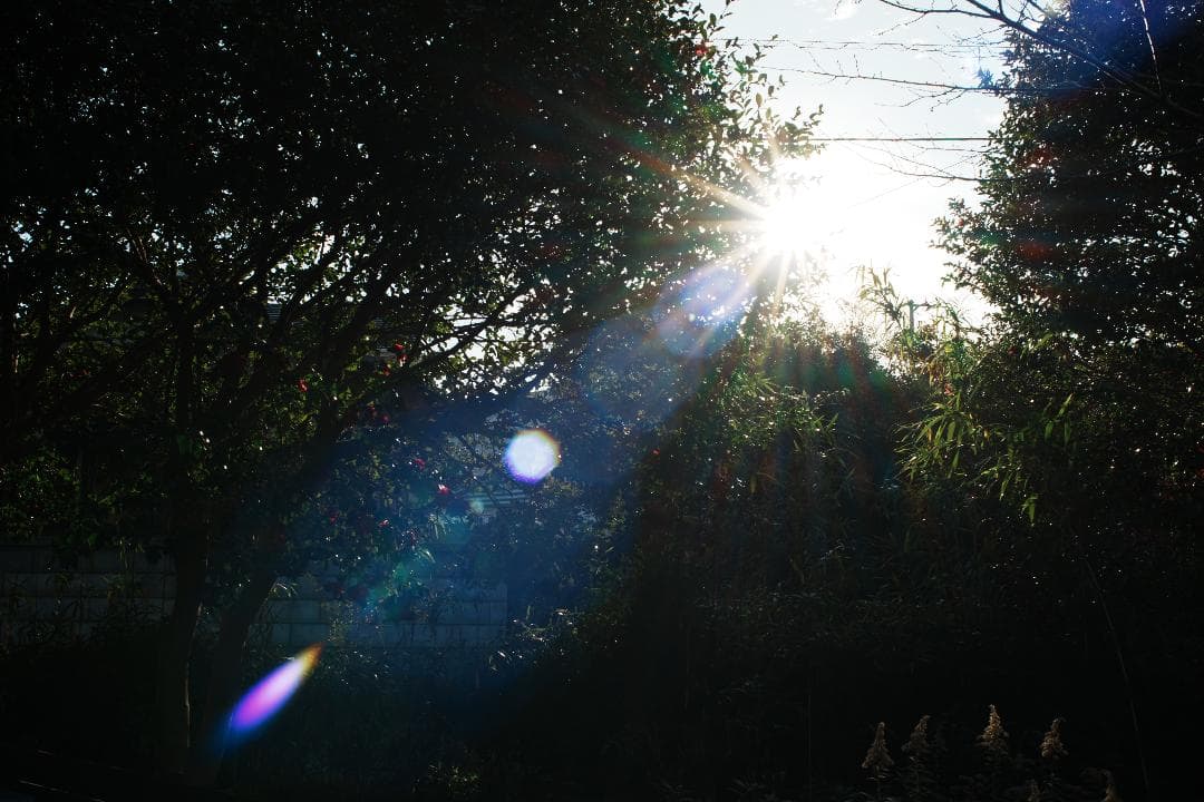 【Ai改】 ニコン Nikkor-o Auto 35mm F2 987