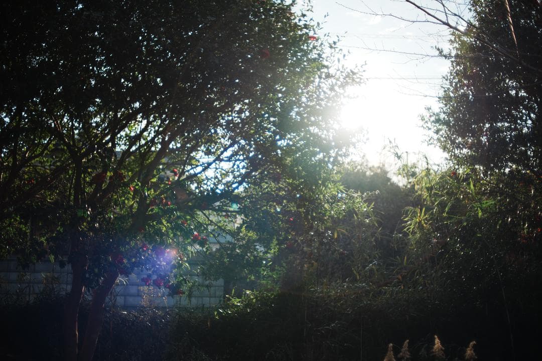 【Ai改】 ニコン Nikkor-o Auto 35mm F2 987