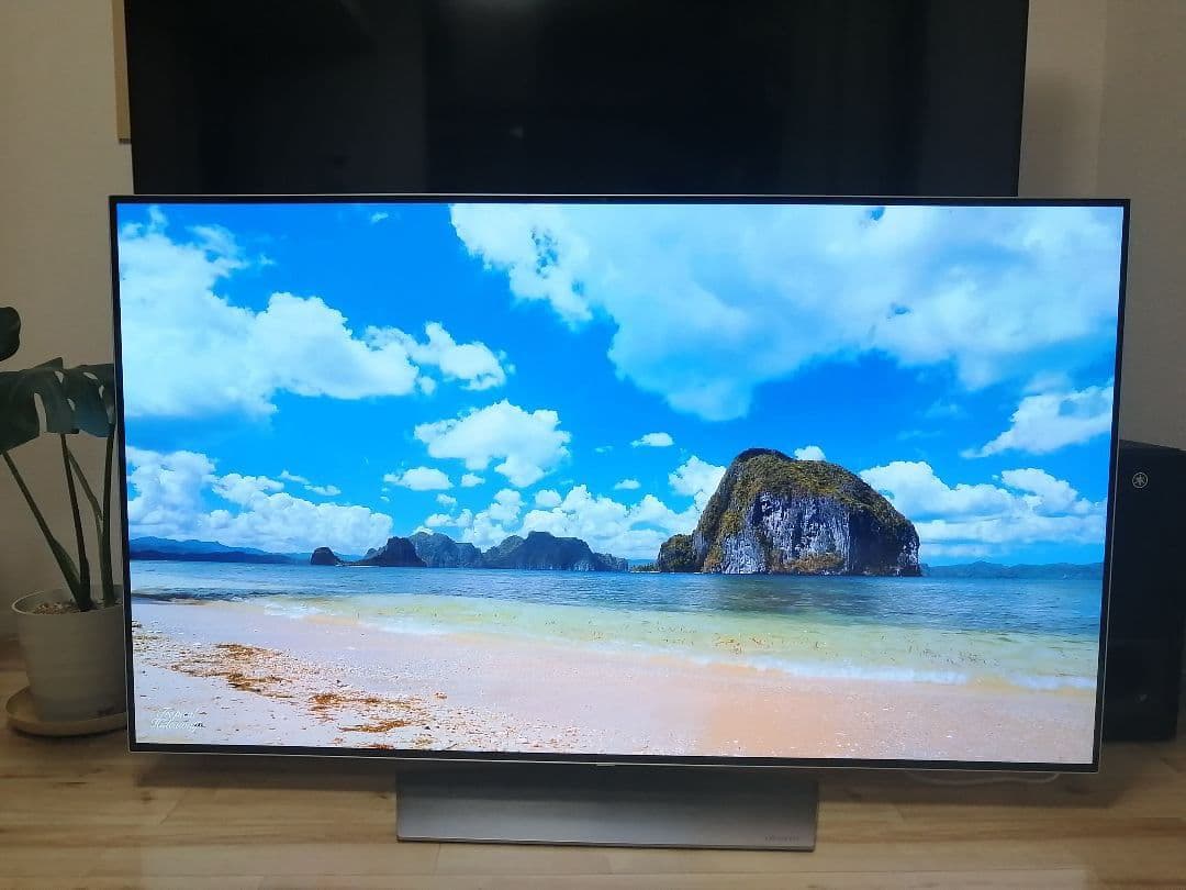 限定地域1000円でお届け！LG OLED55B7P 55インチ 4K 有機EL