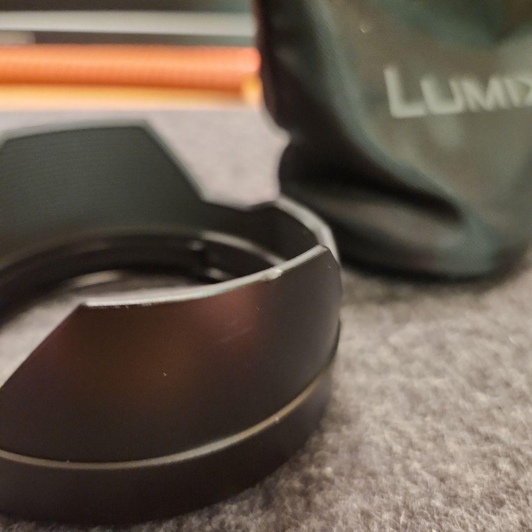 レンズ(ズーム) LEICA DG VARIO-ELMARIT 12-60mm