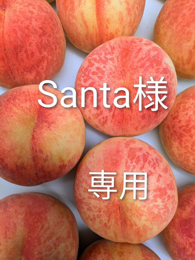 Santa　同梱