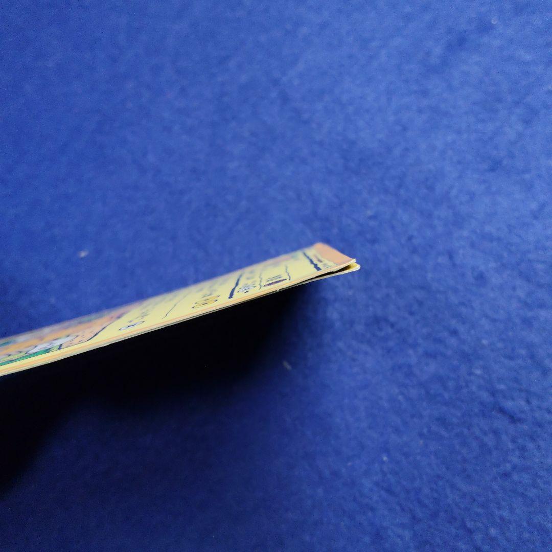 オーヤマのピカチュウ【訳あり】加工あり