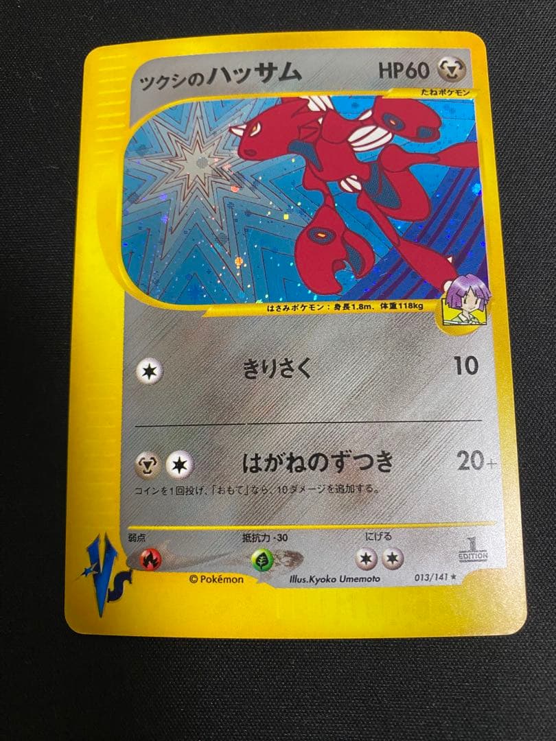 ツクシのハッサム 013/141 1枚