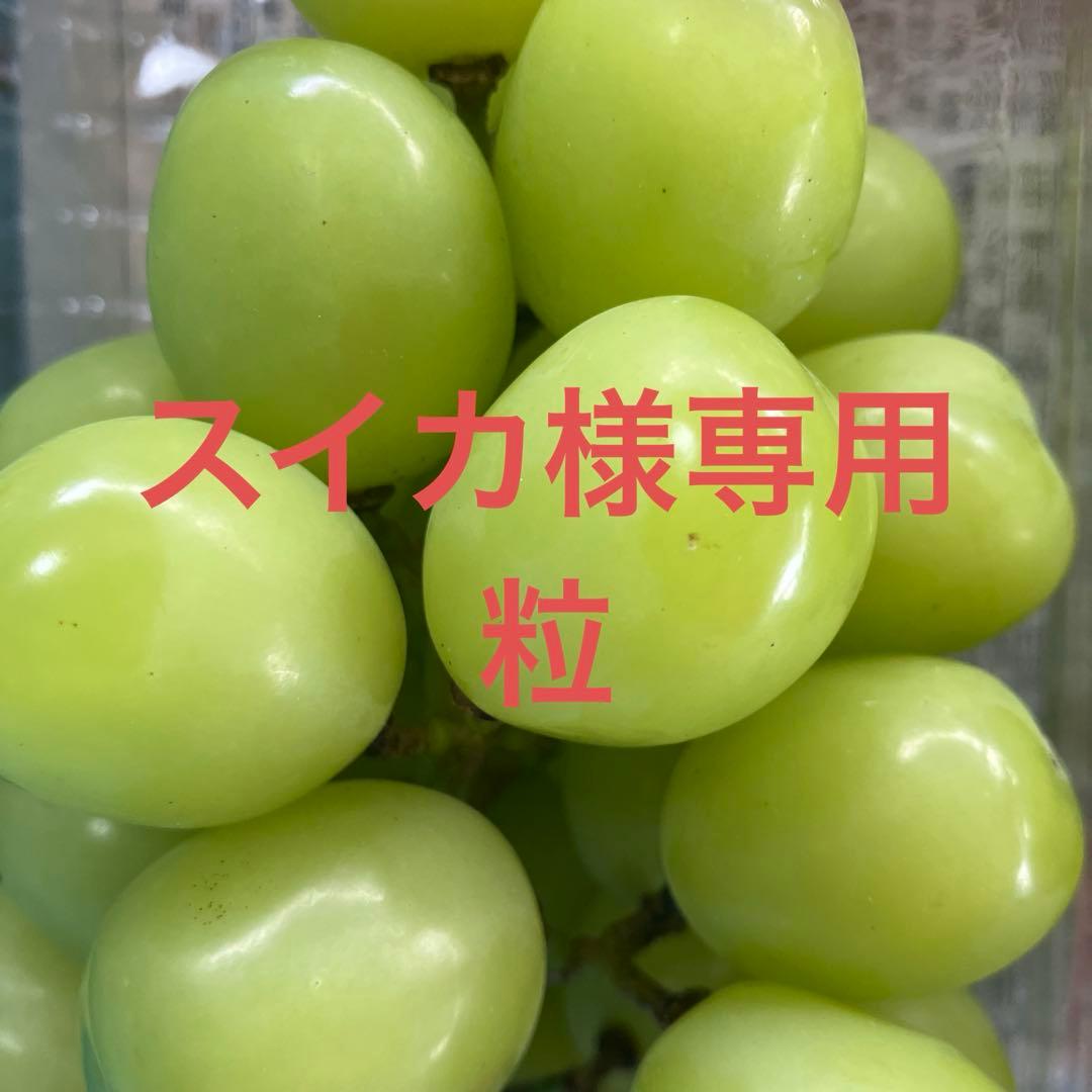 スイカ　シャインマスカット粒