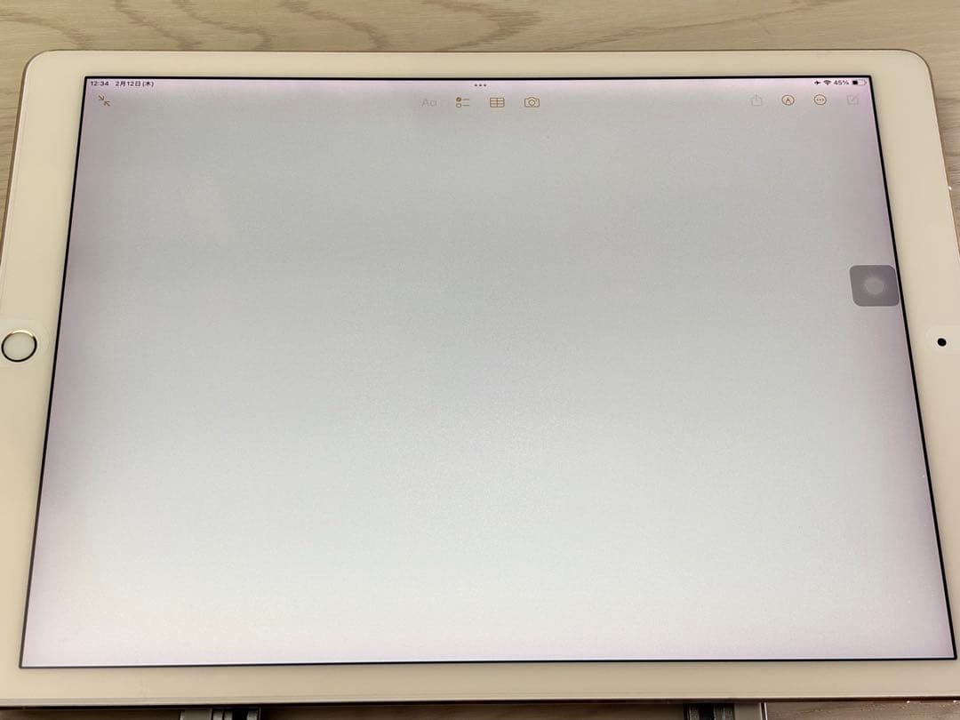 iPad Pro第2世代 12.9 & Apple pencil