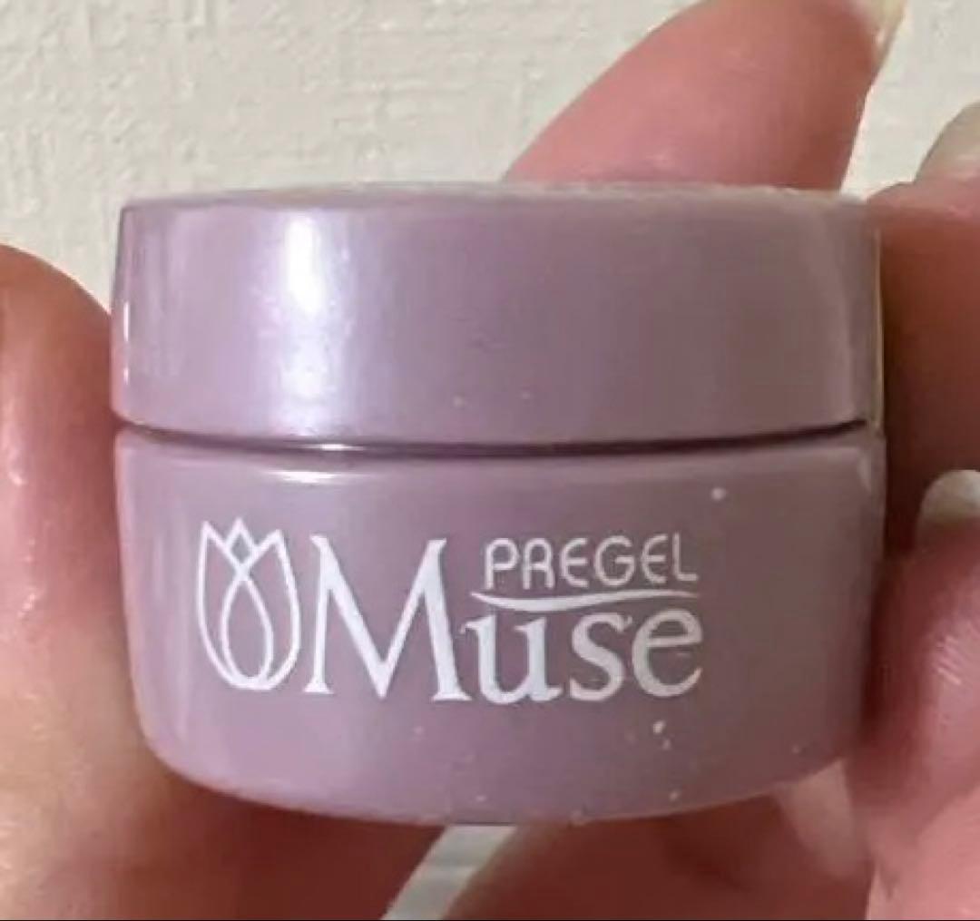 PREGEL Muse ジェルネイル 全色261 色　カラーチャット付き
