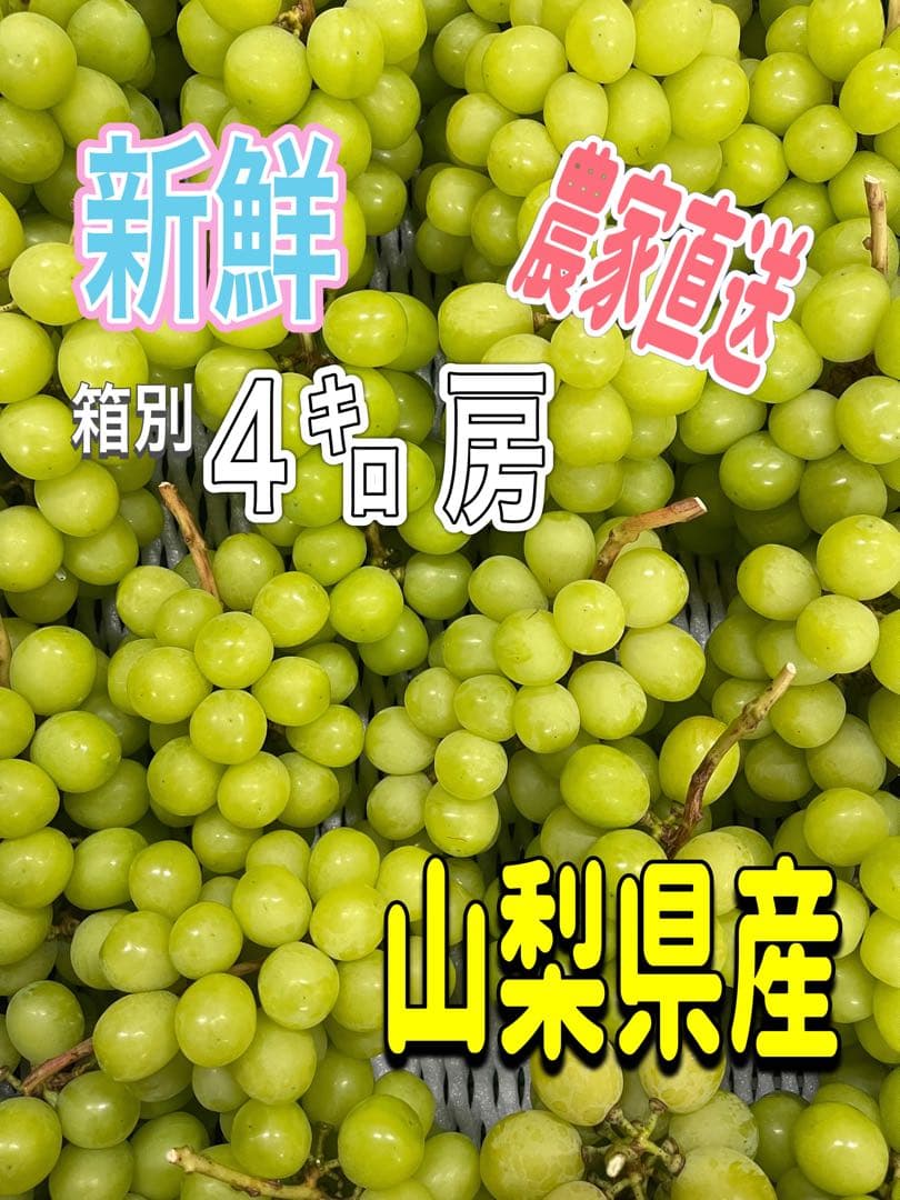 シャインマスカット 房 4キロ