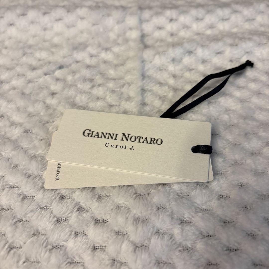 GIANNI NOTARO(ジャンニ ノターロ) キャロルジェイ　ハンドバッグ