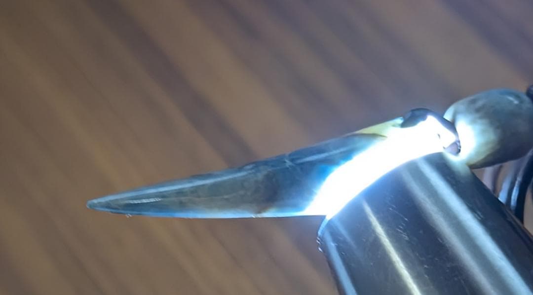 柚*桃様 天然石 こん沢翡翠青い尖った牙型ペンダント レザー紐付き