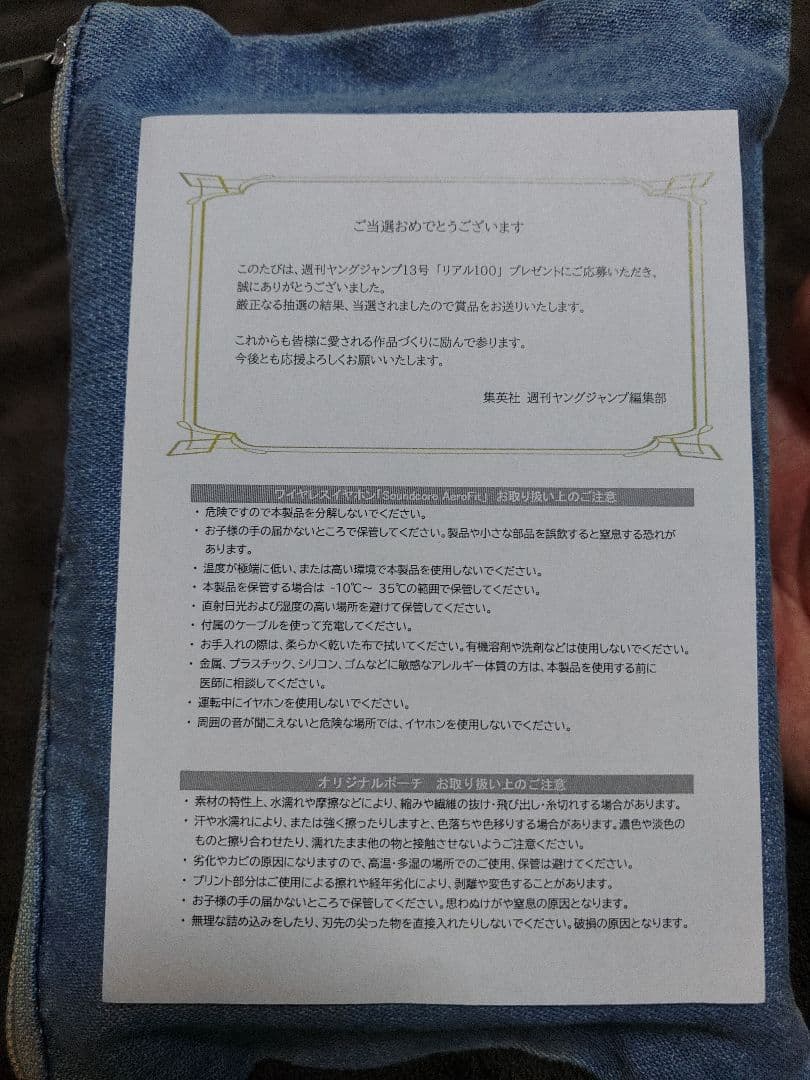 ヤンジャン懸賞 REAL soundcore AeroFit　井上雄彦