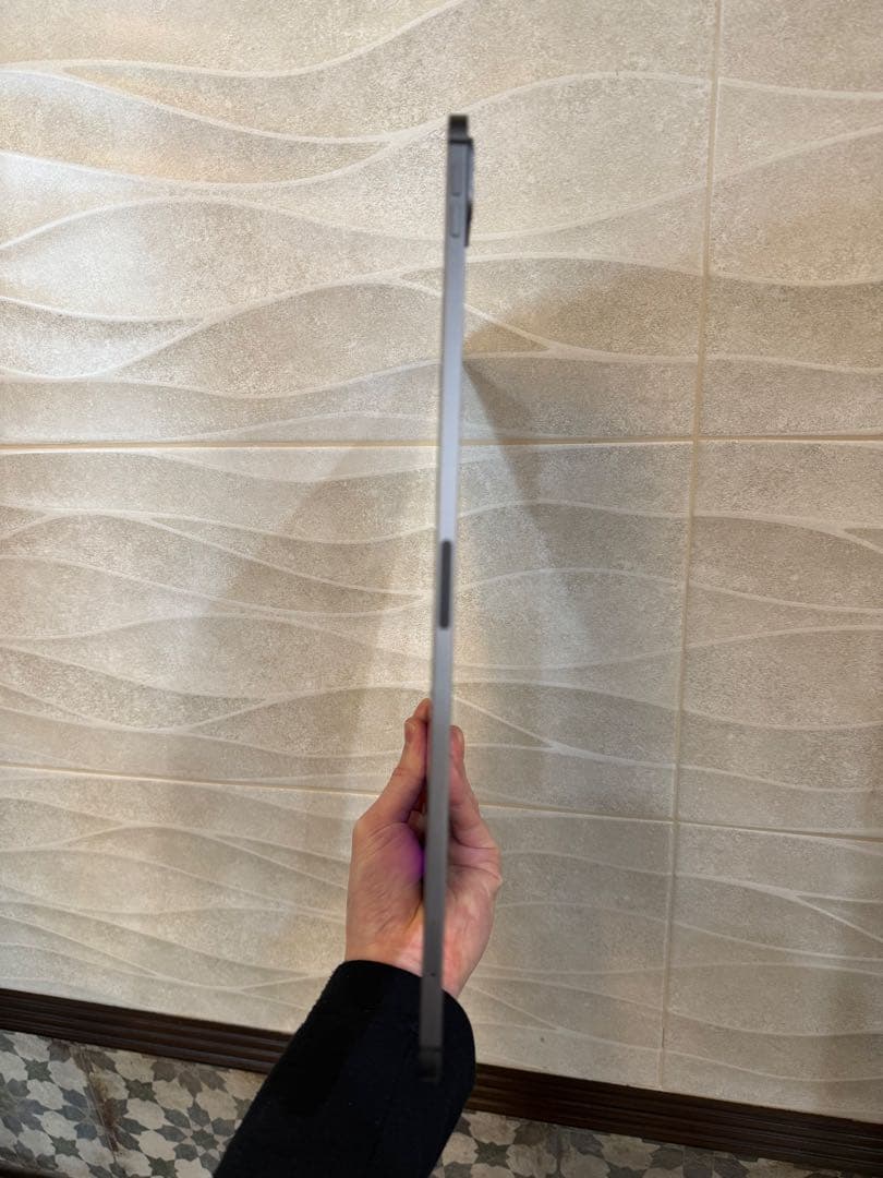 iPad本体 iPad pro12.9 256GB Wi-Fi + Cellular