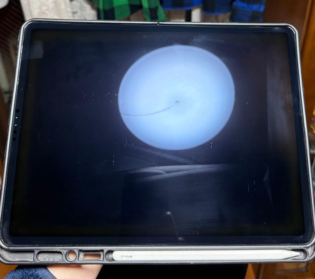 iPad本体 iPad pro12.9 256GB Wi-Fi + Cellular