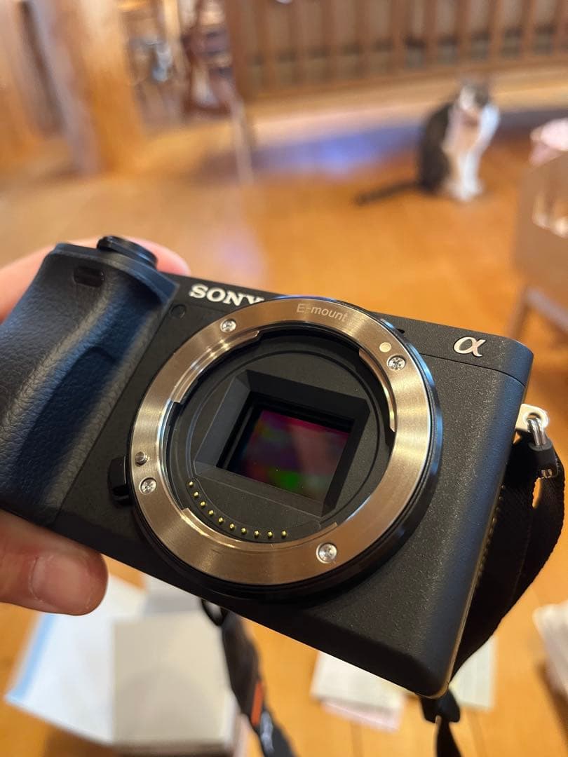 Sony α6400 + Sigma 16mm F1.4 セット