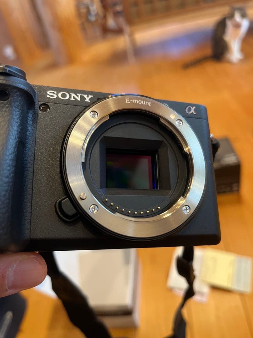 Sony α6400 + Sigma 16mm F1.4 セット