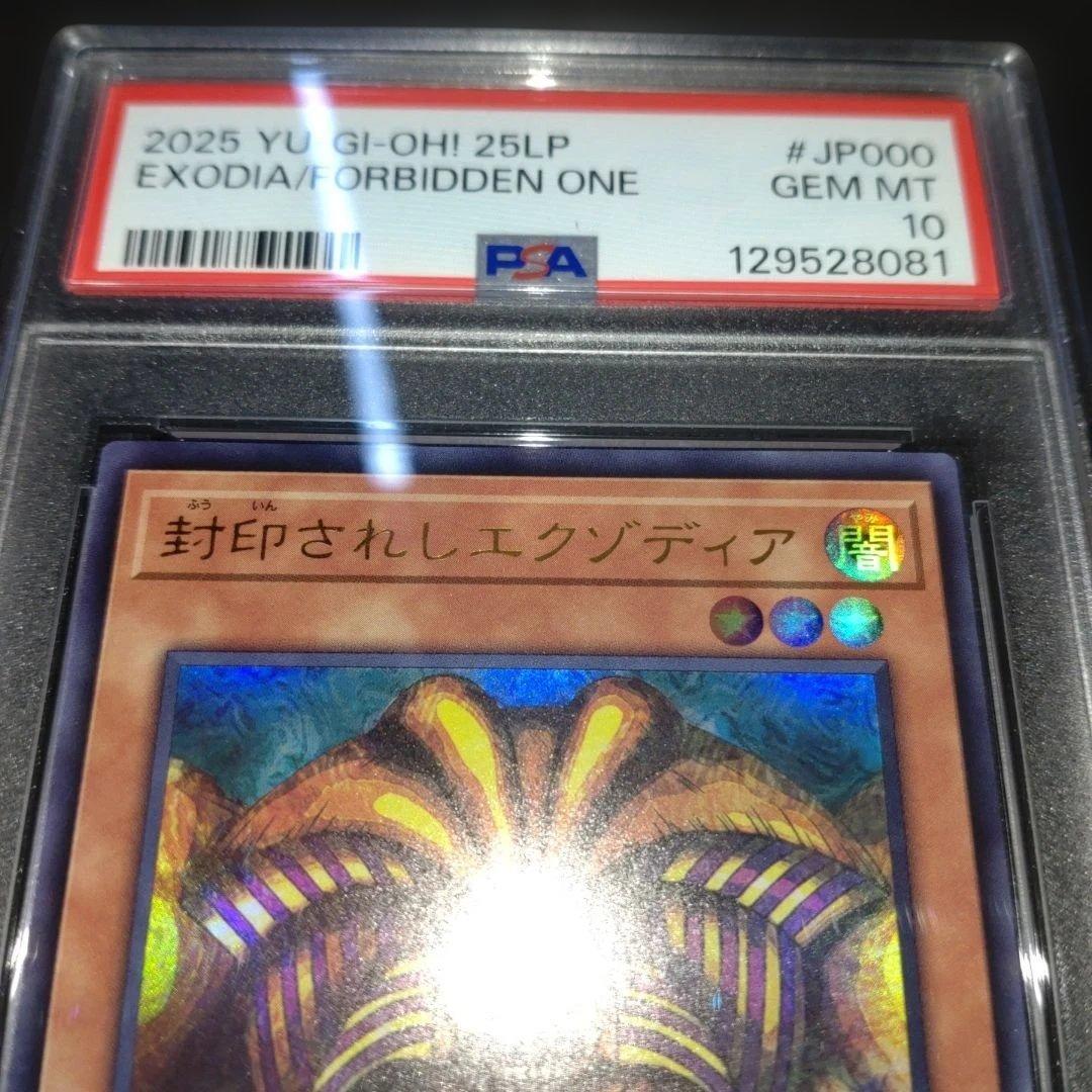 R*N様 封印されしエクゾディア　フランス　ロゴ　ウルトラ　WCS 2025 P