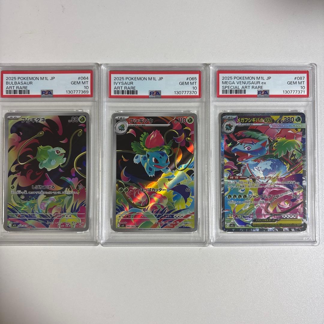 PSA10 3連番 メガフシギバナex SAR 進化ライン ポケモンカード