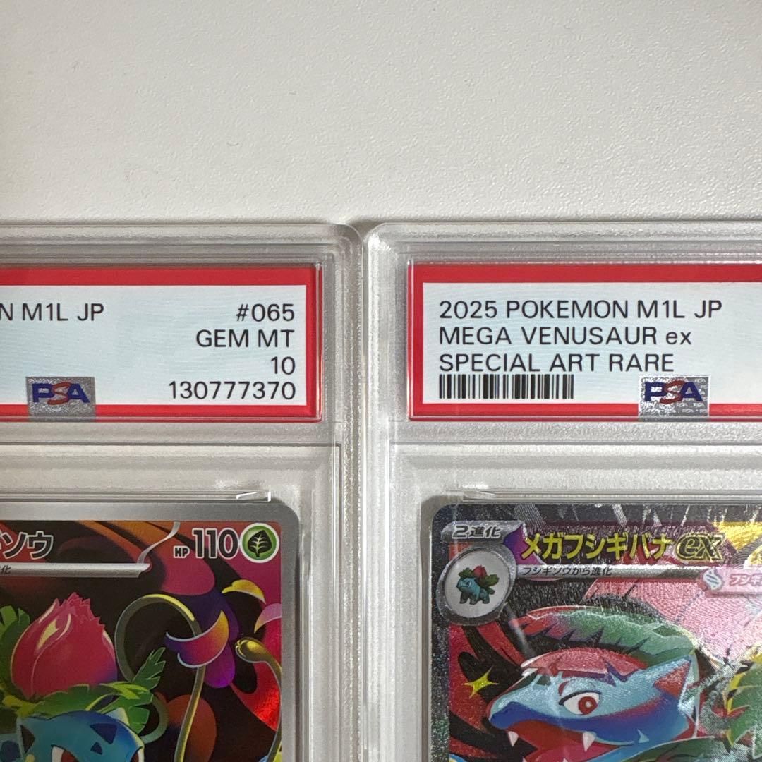 PSA10 3連番 メガフシギバナex SAR 進化ライン ポケモンカード