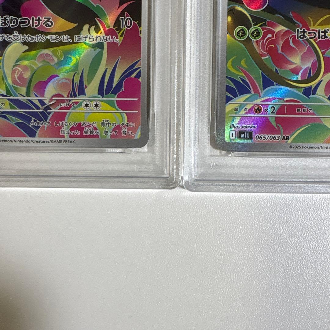 PSA10 3連番 メガフシギバナex SAR 進化ライン ポケモンカード