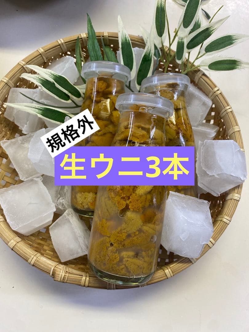 生ウニC品!3本
