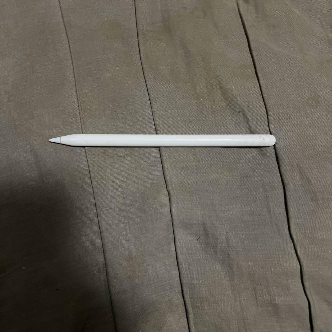 Apple iPadpro 12.9(第3世代) 256GB AppleP2