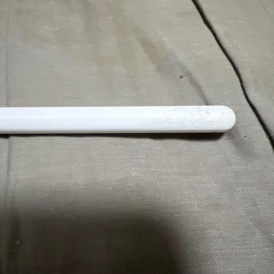 Apple iPadpro 12.9(第3世代) 256GB AppleP2