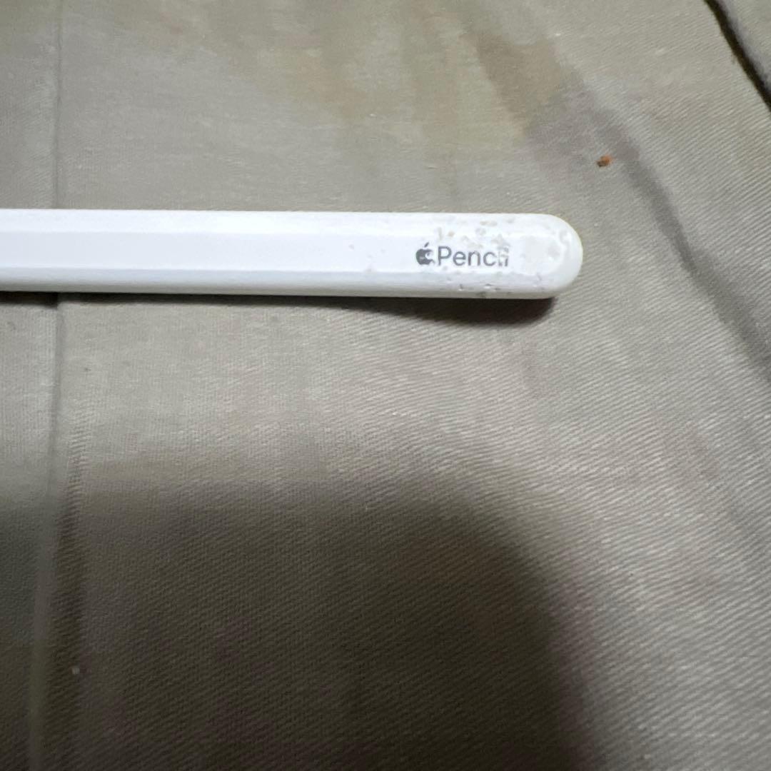 Apple iPadpro 12.9(第3世代) 256GB AppleP2