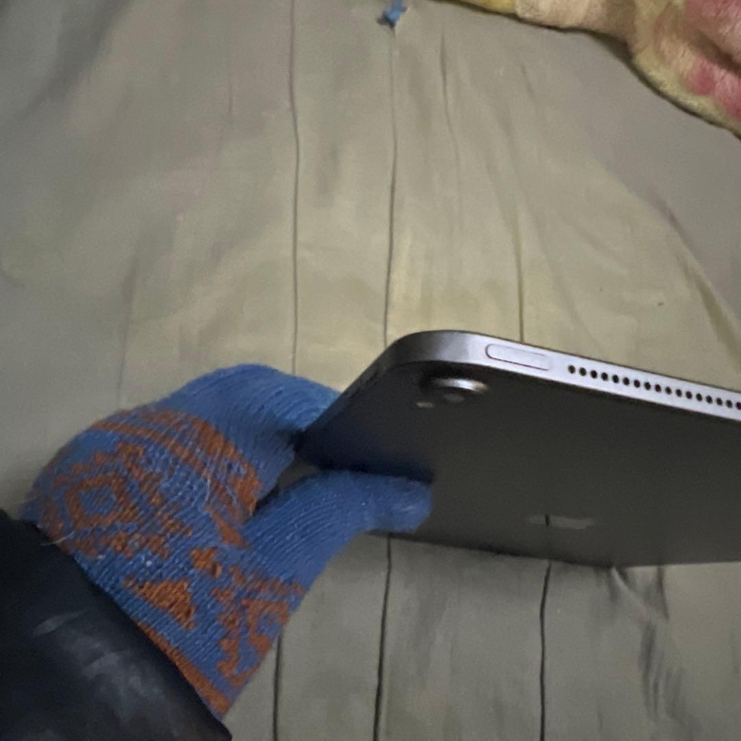 Apple iPadpro 12.9(第3世代) 256GB AppleP2