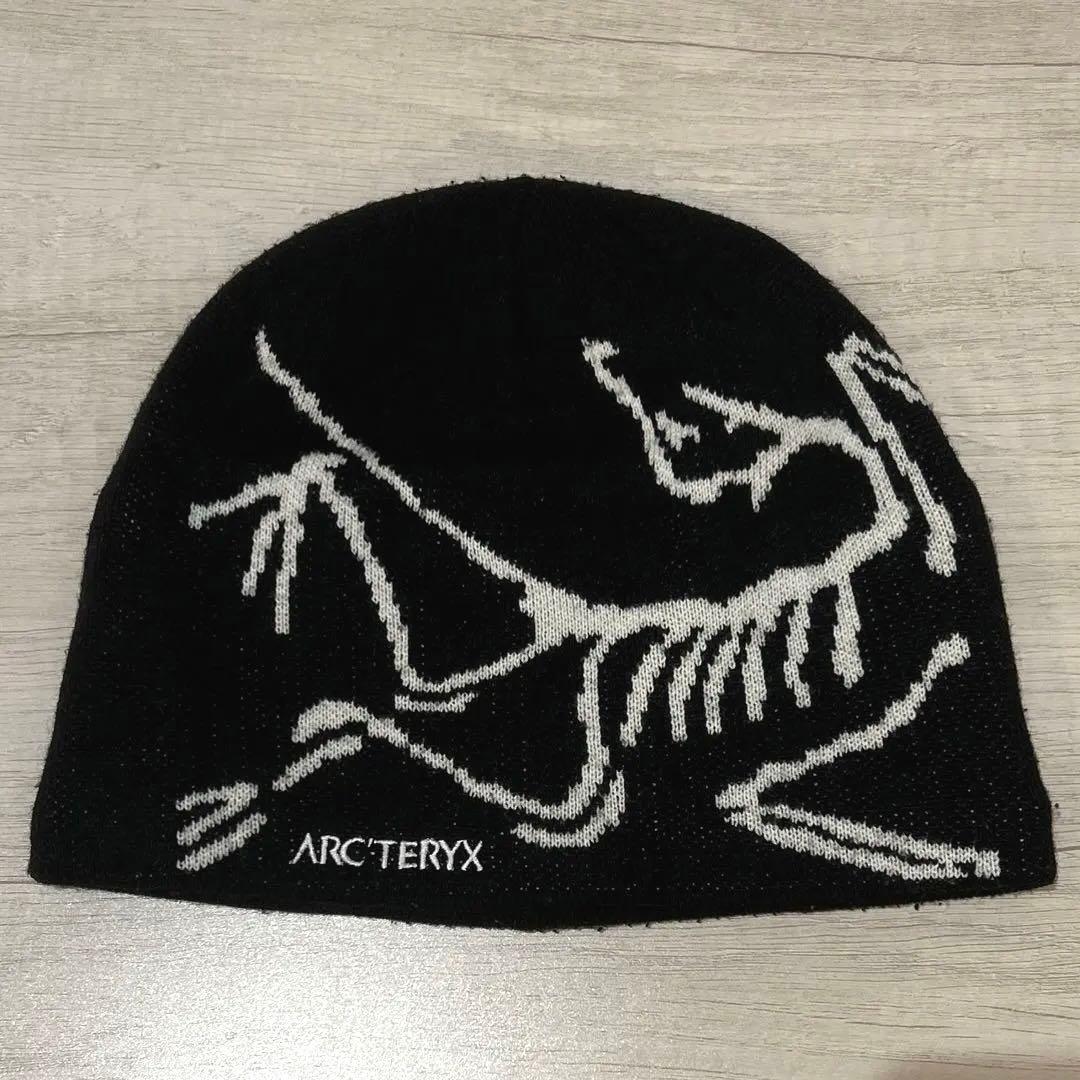 Arc'teryx Bird Head Toque Orcaビーニー