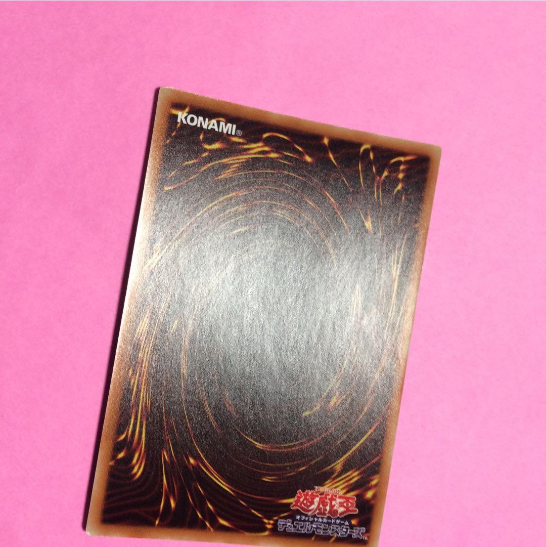 美品！天威の龍仙女 20thシク